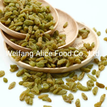 Wholesale Chinese Green Raisin Xinjiang Dehydrated Grape